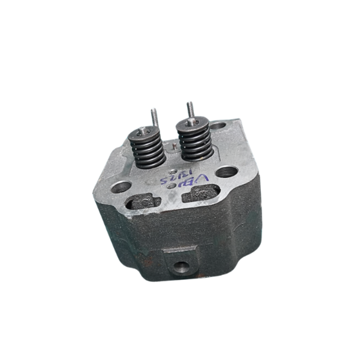 VEH13125 ZH1115 CYLINDER HEAD COMPLETE WITH VALVES, SPRINGS, ETC