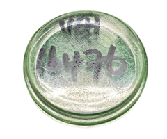 VEH16476 PRESSURE WASHER OIL GLASS