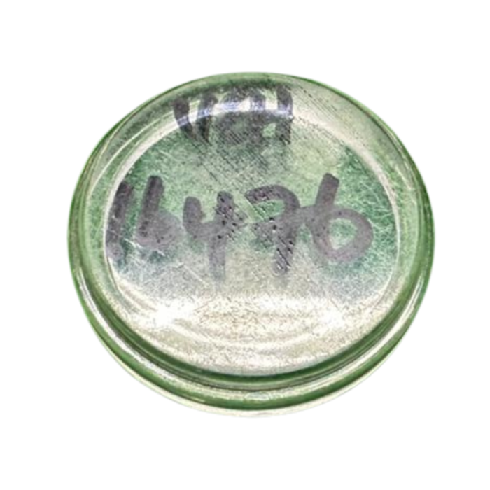 VEH16476 PRESSURE WASHER OIL GLASS