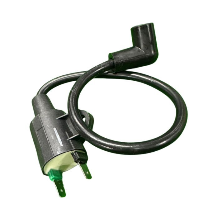 VEH19761 COIL/C.D.I UNIT ASSY' #950