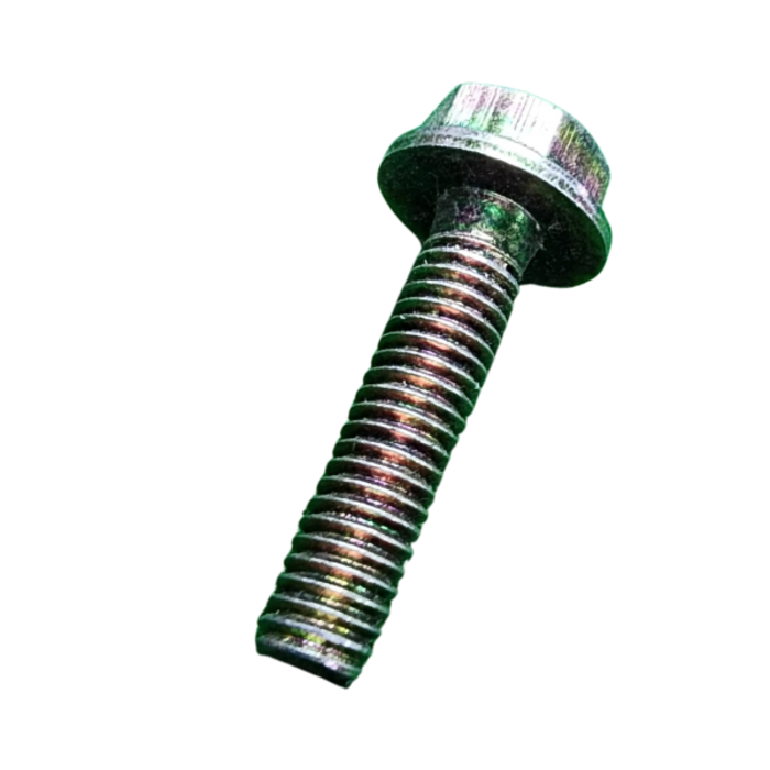 VEH20255 BOLT M6*25 #LSB06025