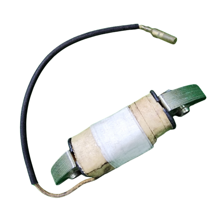 VEH20246 COIL/CHARGE #24004400--WNR