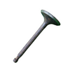 VEH21996 INTAKE VALVE 620