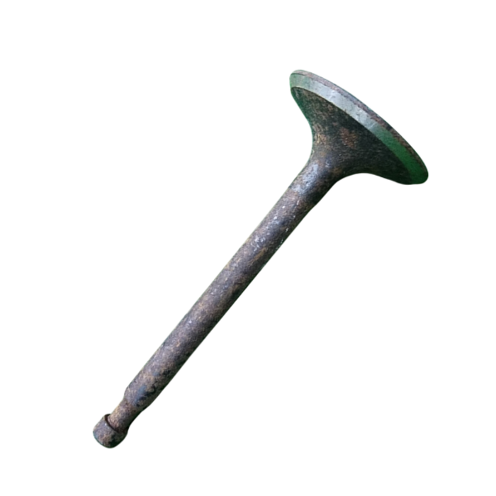 VEH21996 INTAKE VALVE 620