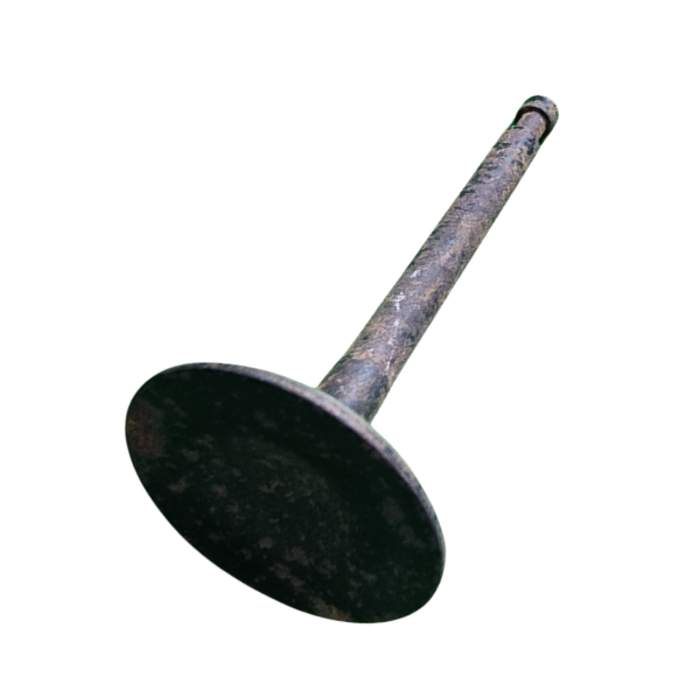 VEH21996 INTAKE VALVE 620