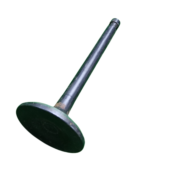 VEH21997 VALVE/EXHAUST MG620