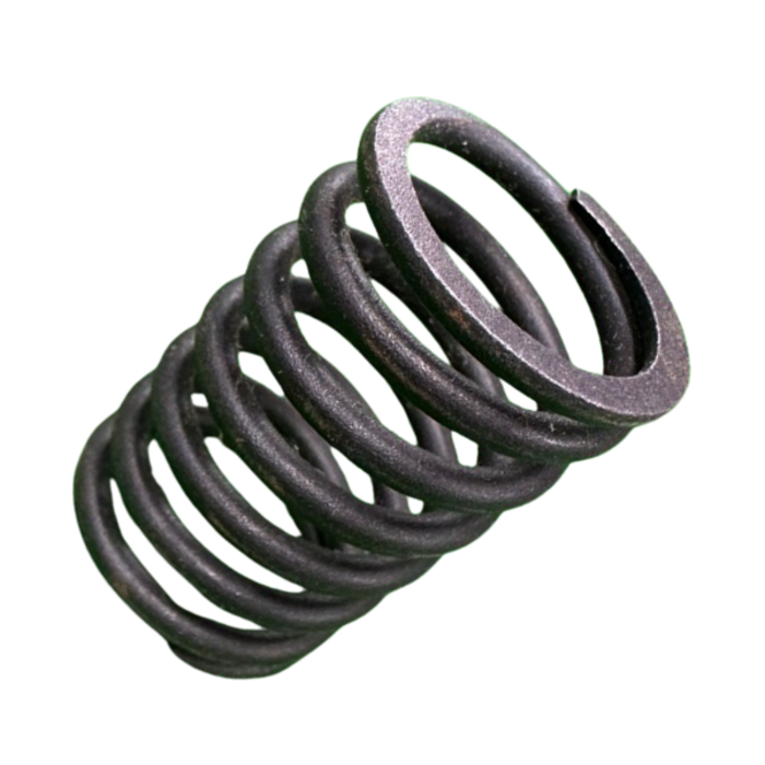 VEH19165 SPRING/VALVE GE186