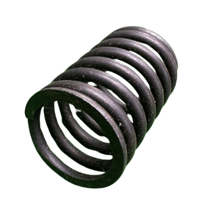 VEH19165 SPRING/VALVE GE186