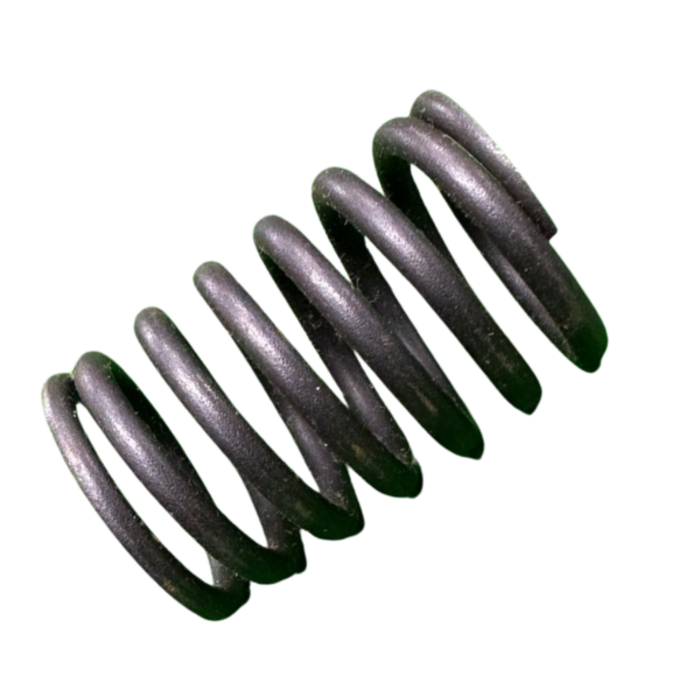 VEH19165 SPRING/VALVE GE186