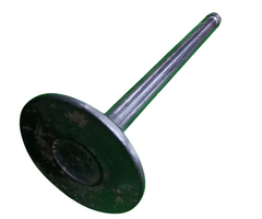 VEH13872 VALVE/EXHAUST#86516--WNR