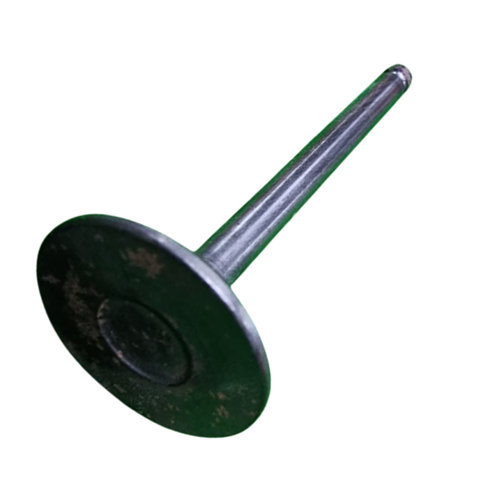 VEH13872 VALVE/EXHAUST#86516--WNR