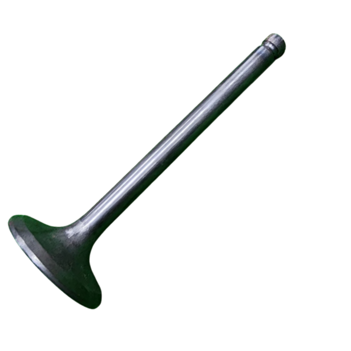 VEH13872 VALVE/EXHAUST#86516--WNR