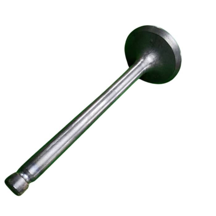 VEH13872 VALVE/EXHAUST#86516--WNR