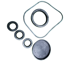 VEH15545 KIT/OIL SEALPRES OH9566011