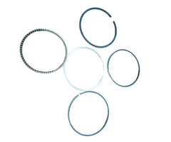 VEH19199 RING/PISTON SET OJ88870113-WNR