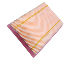 VEH22416 ELEMENT/AIR FILTER MG620