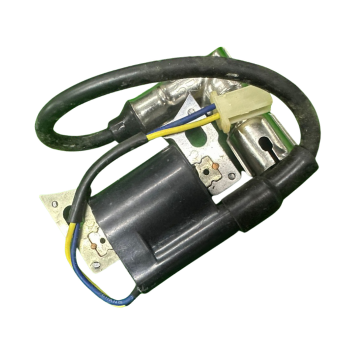 VEH12265 COIL/IGNITION OH56810124-WNR