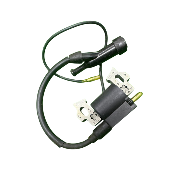 VEH13898 IGNITION.ASSCOIL0H04680176--WNR