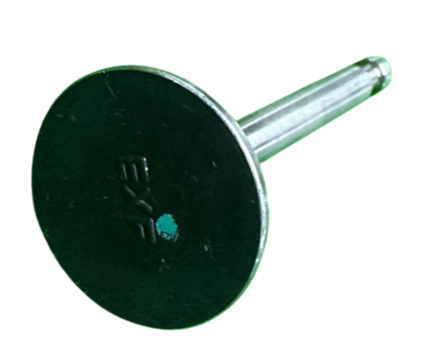 VEH17594 VALVE/EXHAUST 14721-ZF1-00