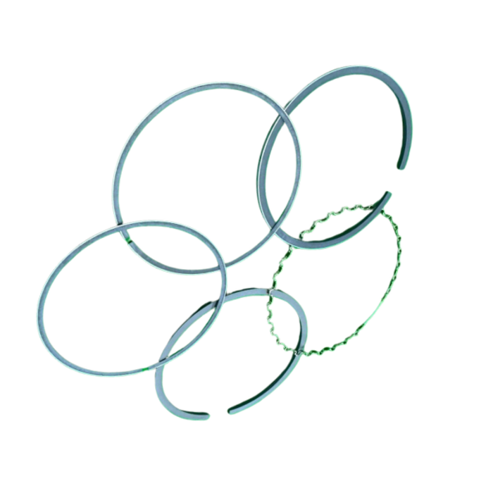 VEH17607 RINGS/PISTON SET STD 13010