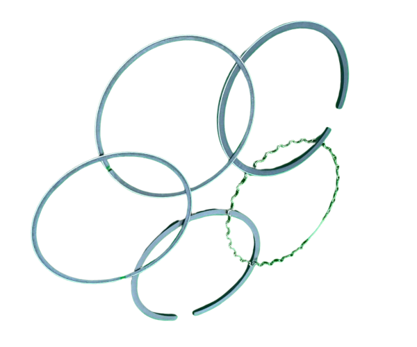 VEH17607 RINGS/PISTON SET STD 13010