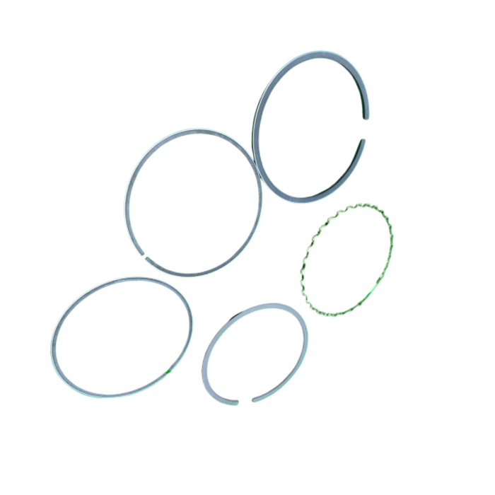 VEH17607 RINGS/PISTON SET STD 13010