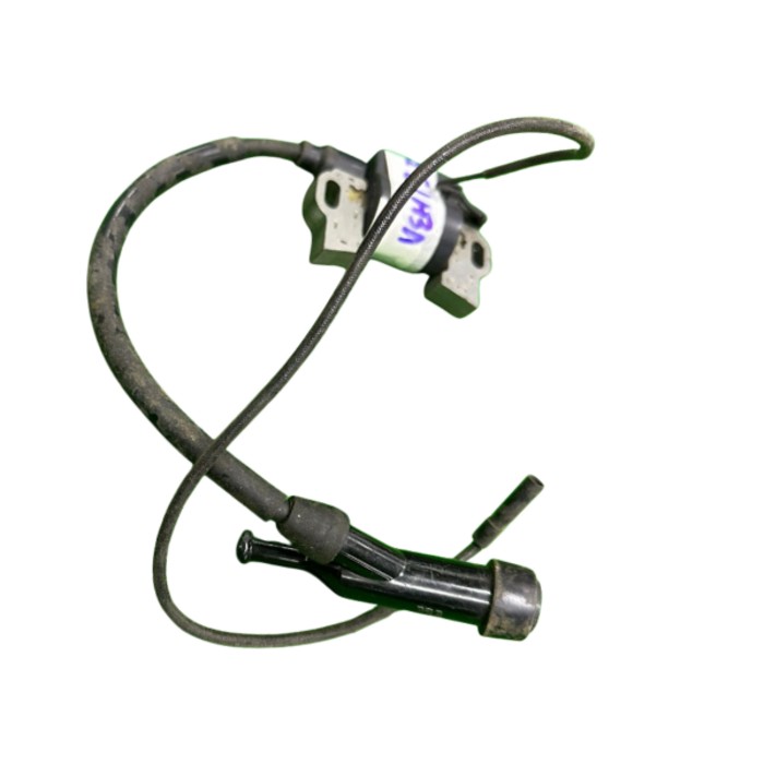 VEH13553 IGNITION.ASSCOIL0G84420150