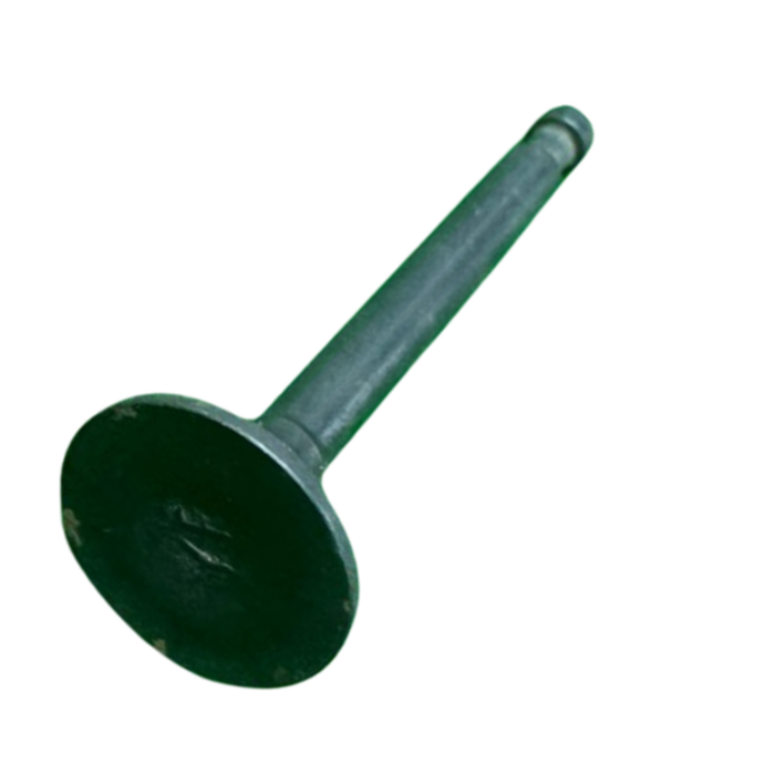 VEH18847 VALVE/EXHAUST MG120 #12002