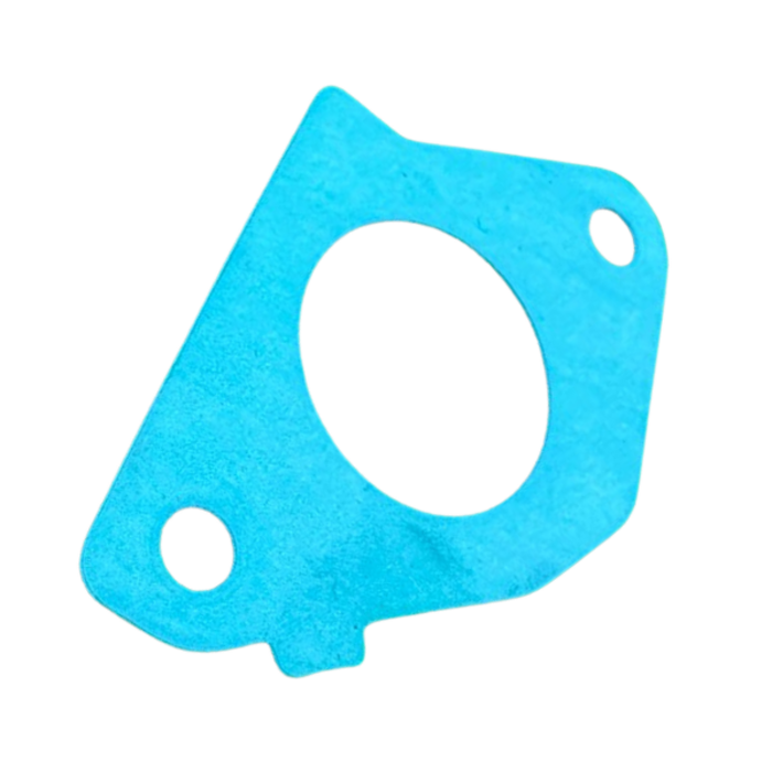 VEH12080 KIT/CARBURETOR GASKET HOND-WNR
