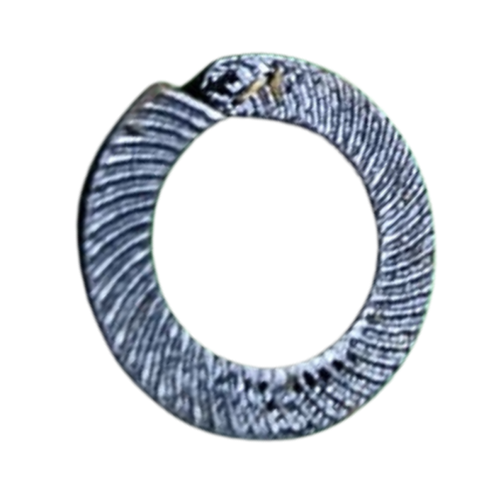VEH14722 WASHER/SPRING #027-00394