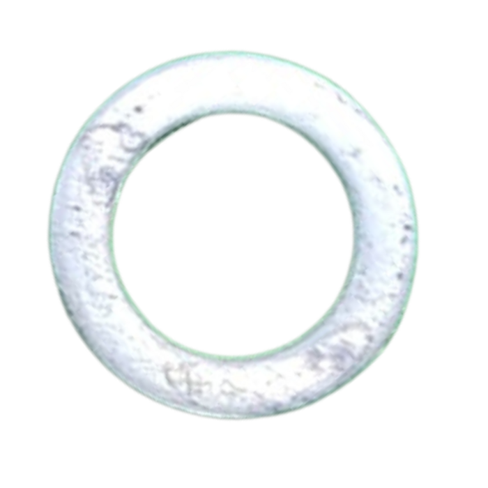 VEH20057 WASHER/P.R.P CAP #15199 (D