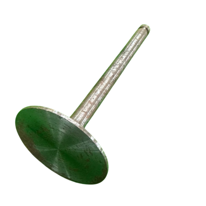 VEH21658 VALVE/INTAKE ZH1130,02.15.