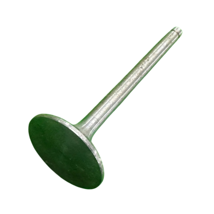 VEH21681 VALVE/INTAKE ZH1120. 3-21