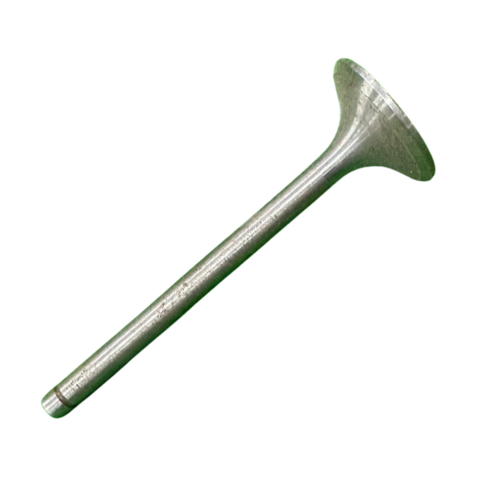 VEH21681 VALVE/INTAKE ZH1120. 3-21