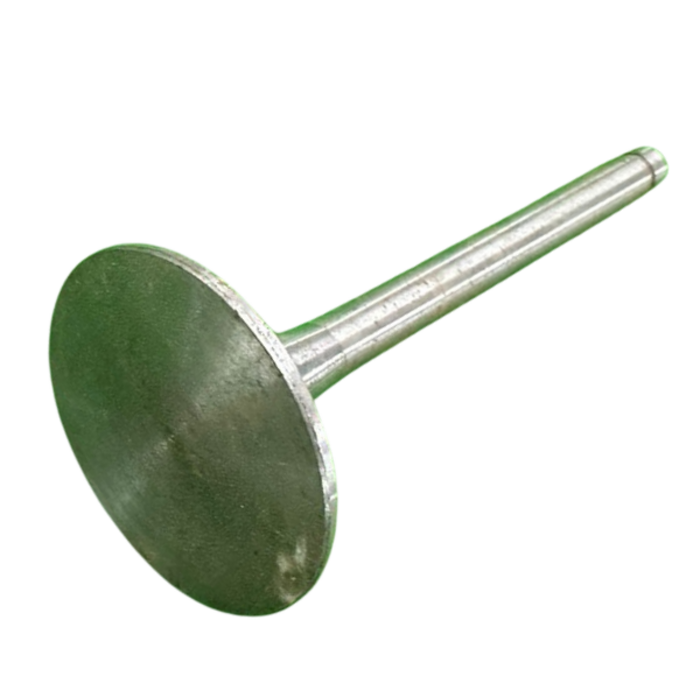 VEH21790 VALVE/INTAKE 02.15.03.005.