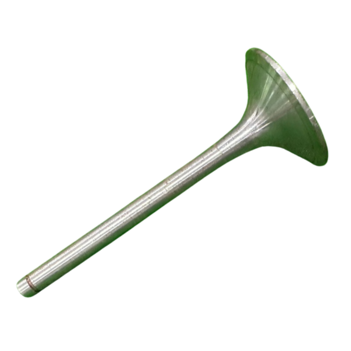 VEH21790 VALVE/INTAKE 02.15.03.005.