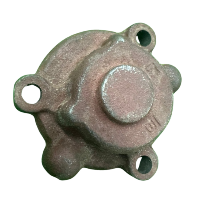 VEH22057 PUMP/OIL -ASSY' ZH1130