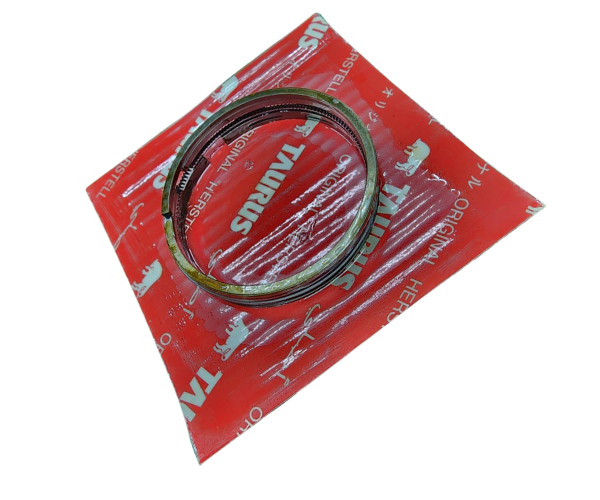 VEH20129 RINGS/PISTON SET T041R0702