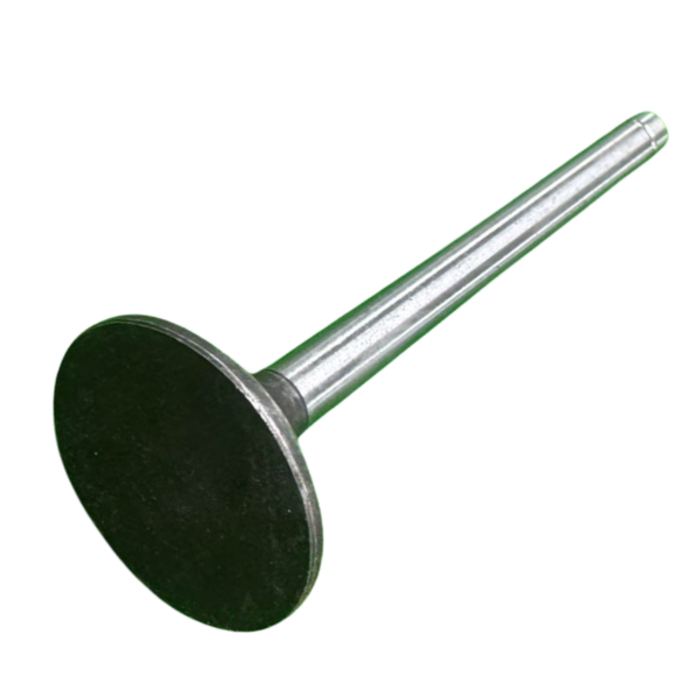 VEH21491 VALVE/EXHAUST 1105-03010--N/F--WNR