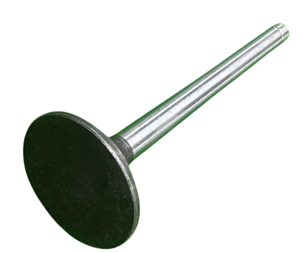 VEH21491 VALVE/EXHAUST 1105-03010