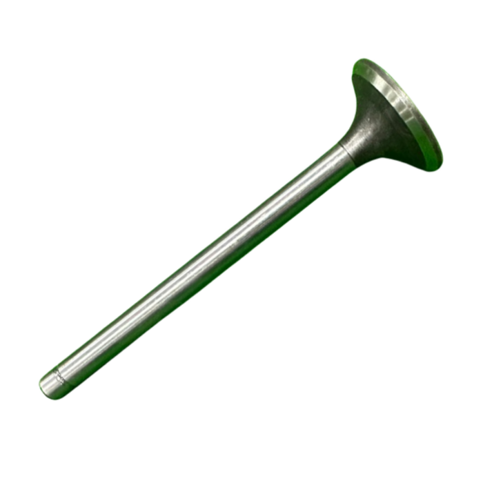 VEH21491 VALVE/EXHAUST 1105-03010--N/F--WNR