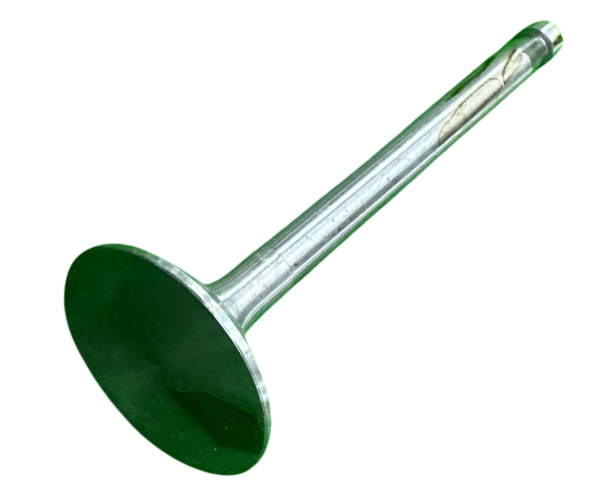 VEH21066 VALVE/EXHAUST 295-03002