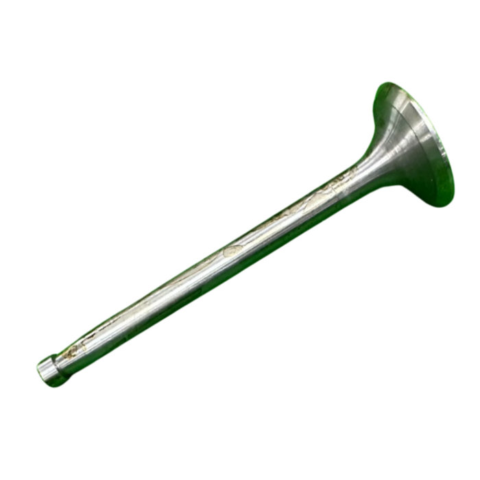 VEH21066 VALVE/EXHAUST 295-03002