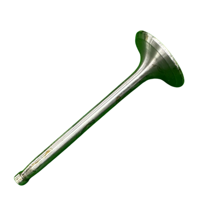 VEH21065 VALVE/INTAKE 295-03001