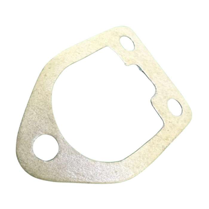 VEH20843 GASKET #195-01109