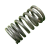 VEH22035 SPRING/VALVE #22, ZH1130