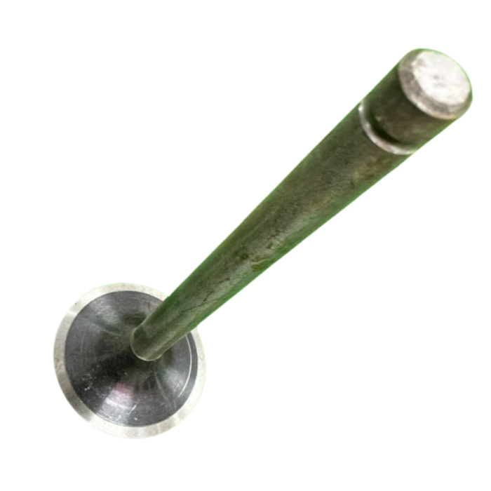 VEH21635 VALVE/INTKE ZH1105, 02.01