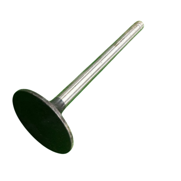 VEH21635 VALVE/INTKE ZH1105, 02.01