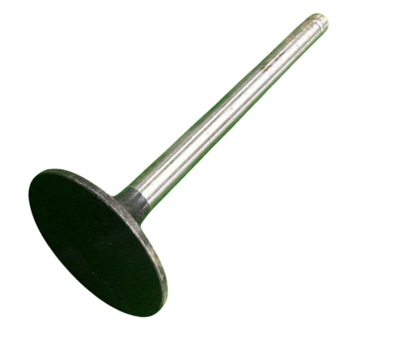 VEH21635 VALVE/INTKE ZH1105, 02.01