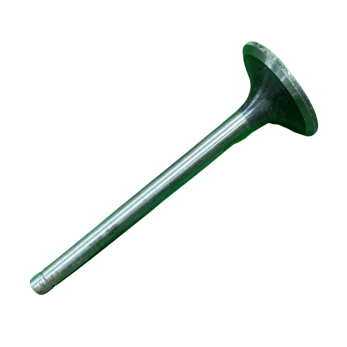 VEH21635 VALVE/INTKE ZH1105, 02.01